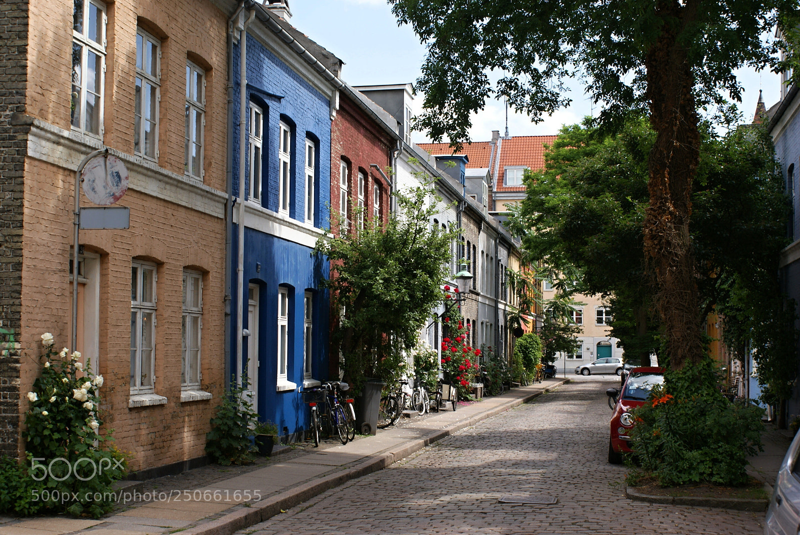 Sony DT 18-70mm F3.5-5.6 sample photo. Alley... photography