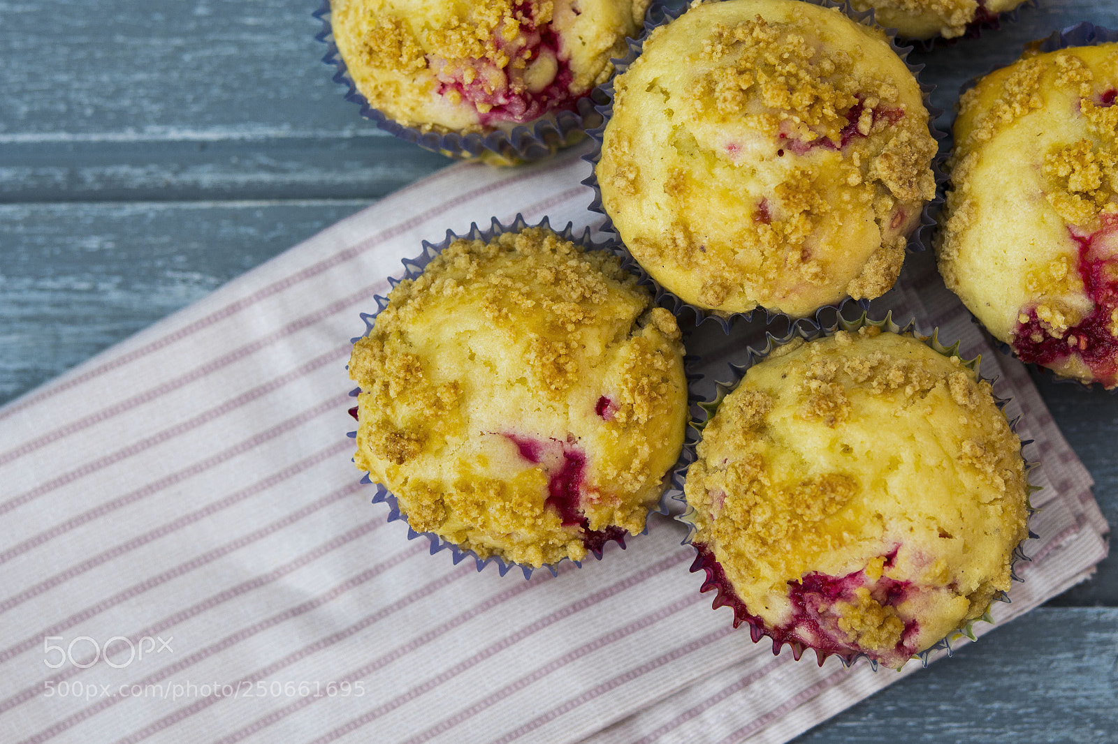 Nikon D3100 sample photo. Muffin  photography