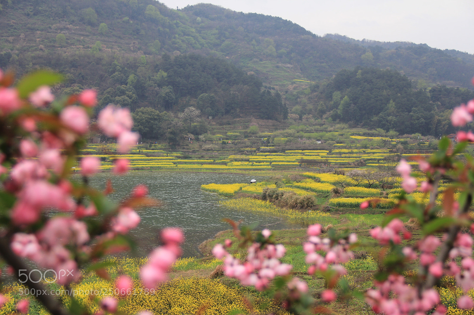 Canon EOS 60D sample photo. Untitled photography