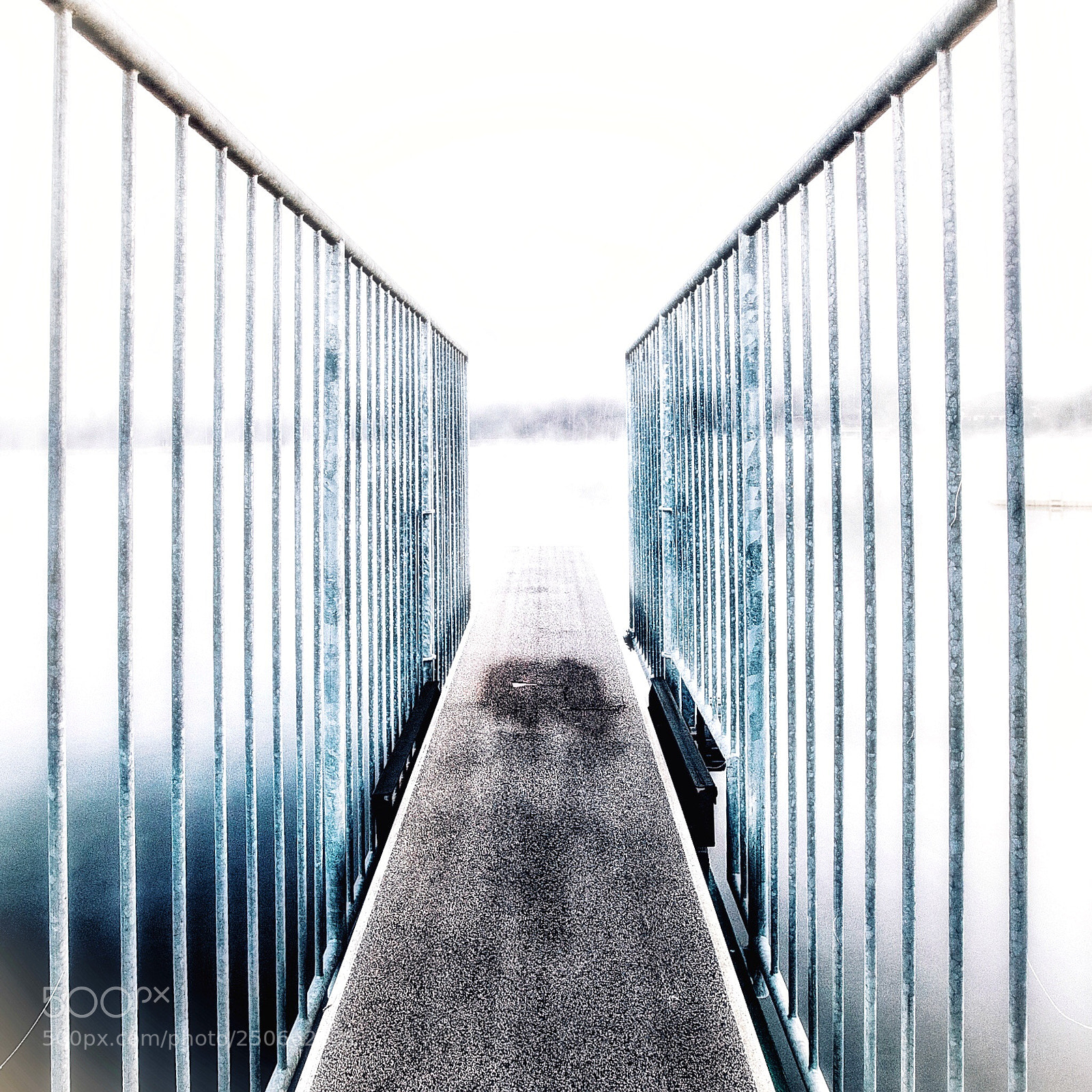Canon EOS 5D Mark II sample photo. Untitled photography