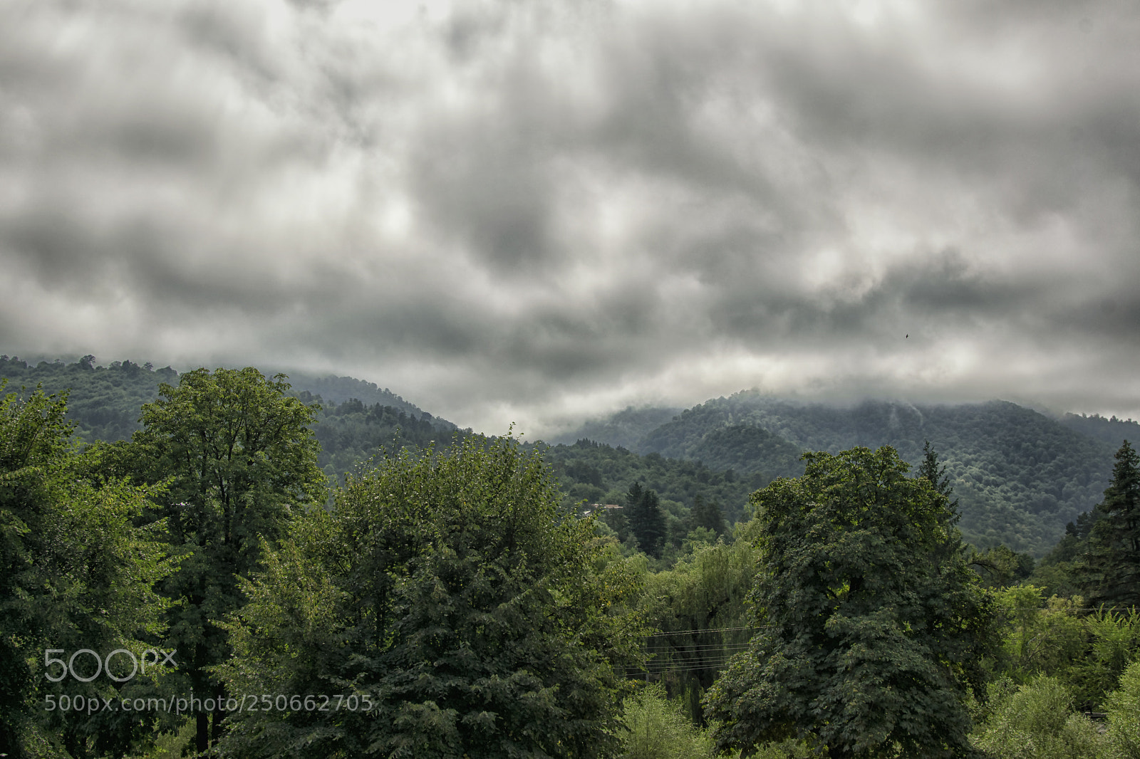 Nikon D3300 sample photo. Dilijan #10 photography