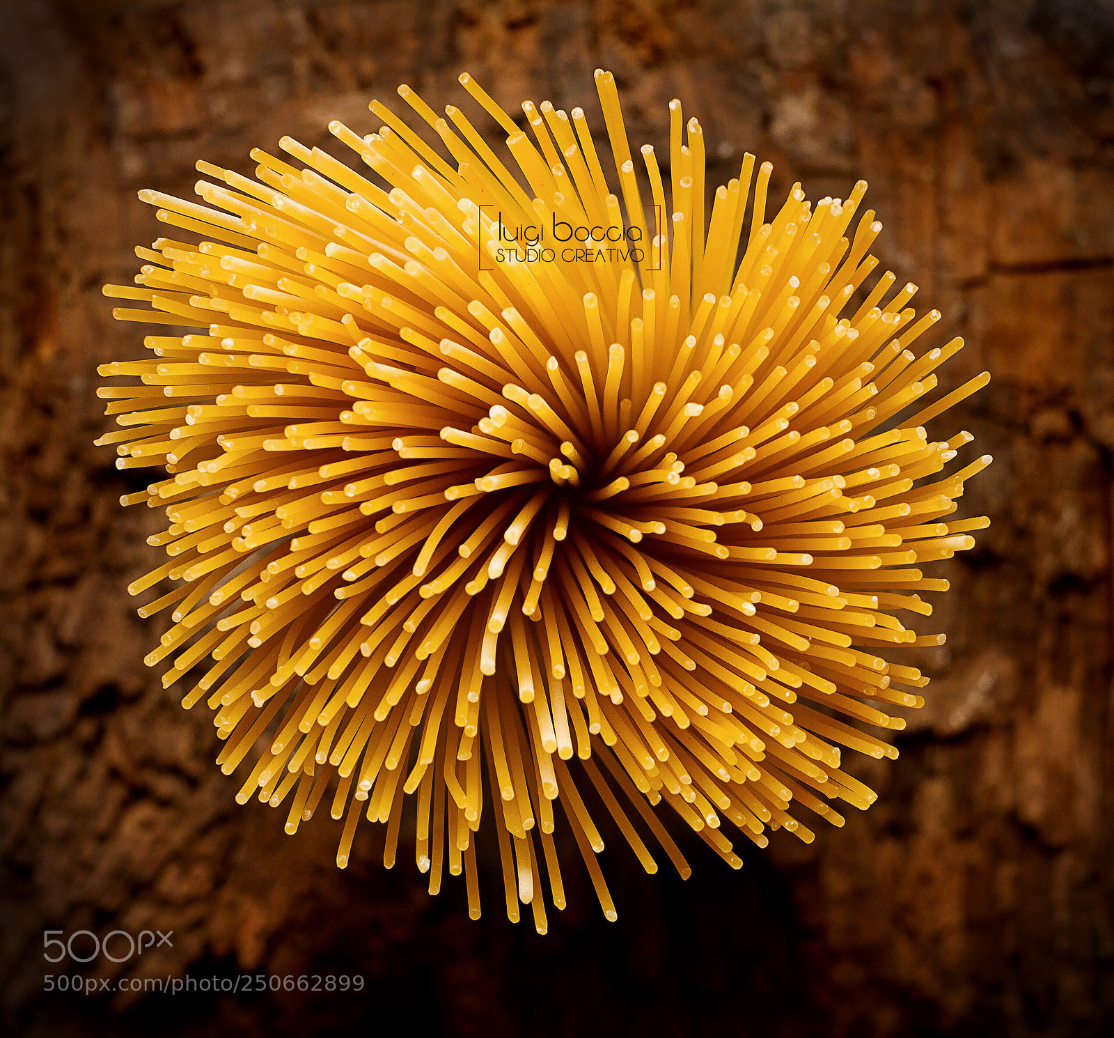 Canon EOS 7D sample photo. Anemone photography