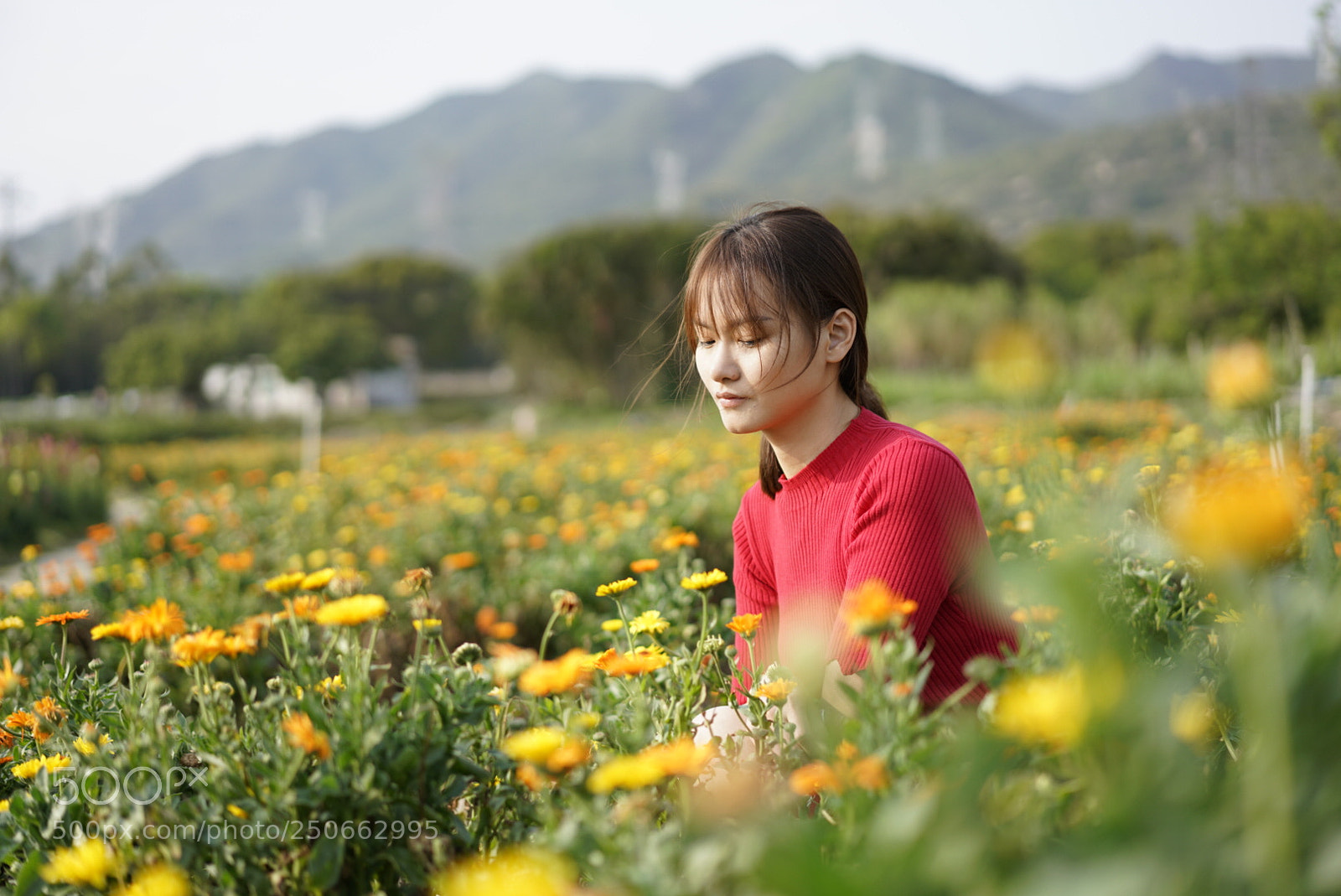 Sony a7R II sample photo. My gf photography