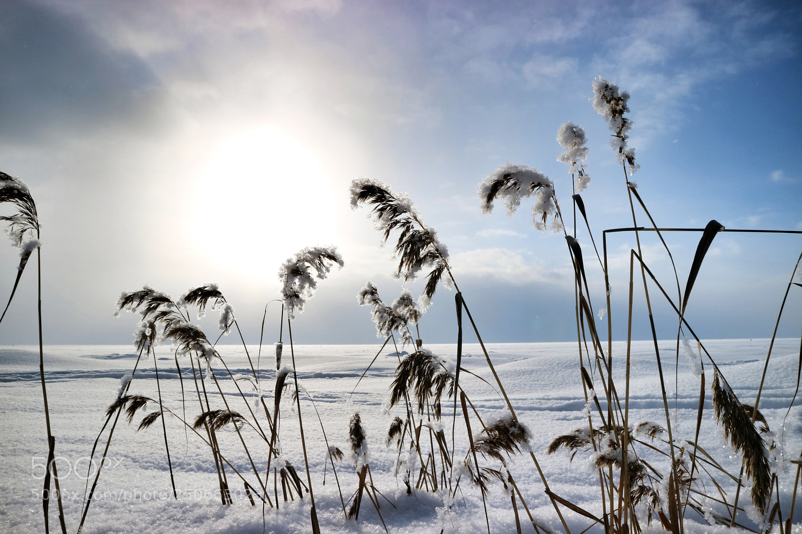Canon EOS M3 sample photo. Winter distance photography