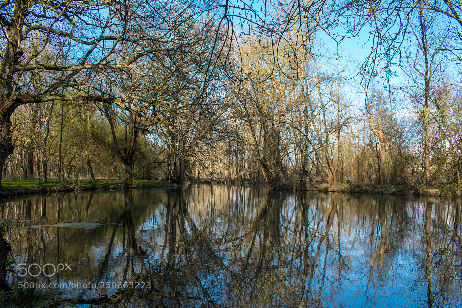 Nikon D5300 sample photo. Cercle reflet photography