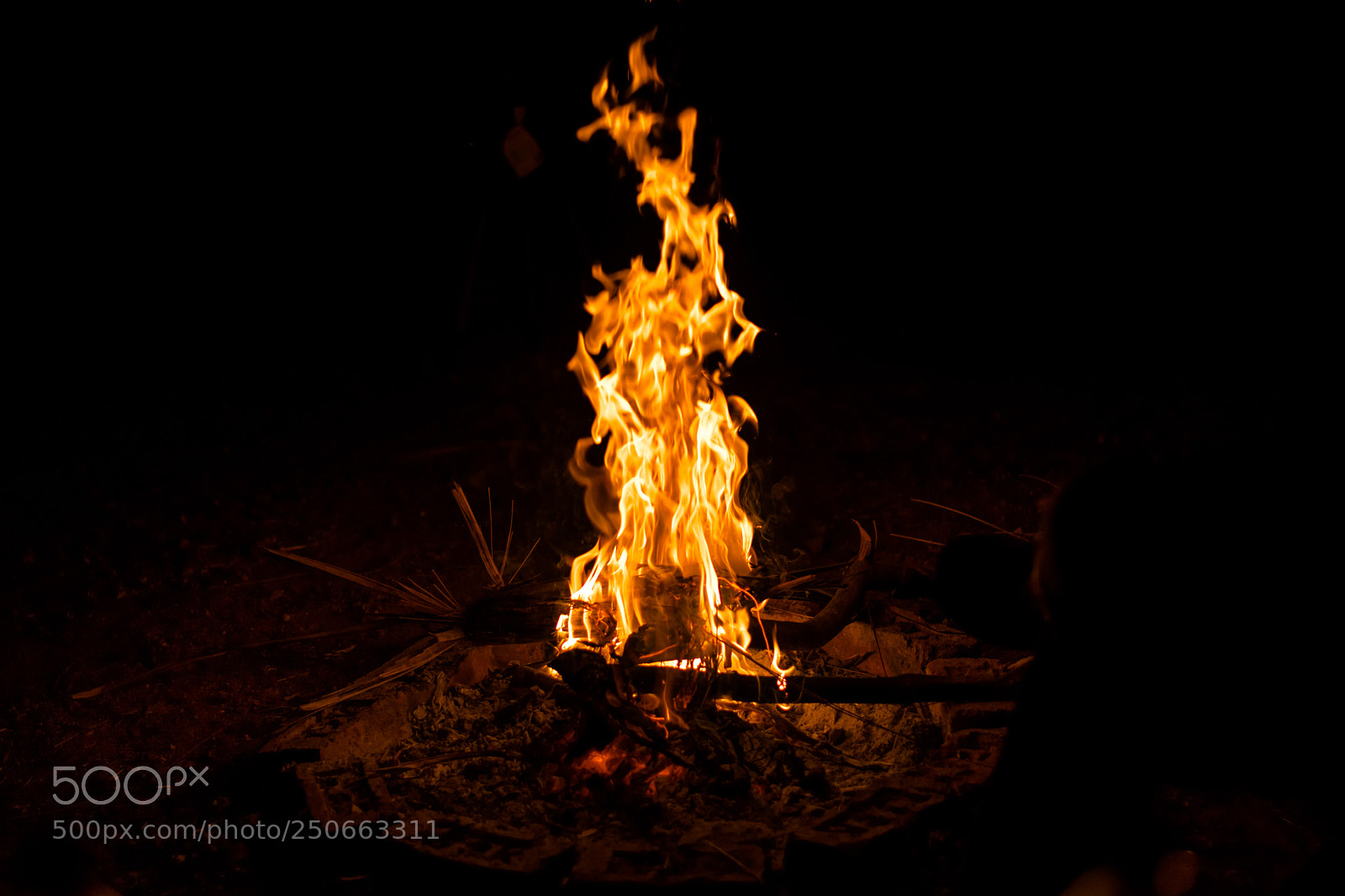 Nikon D5300 sample photo. Bonfire photography