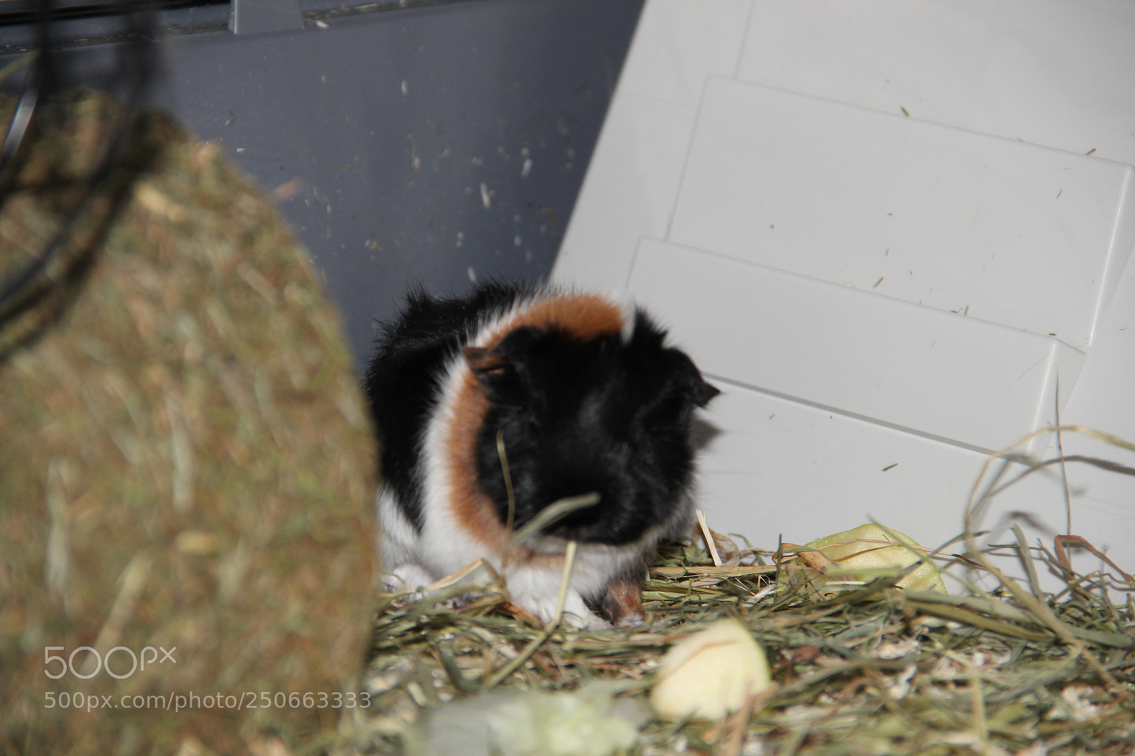 Canon EF-S 18-135mm F3.5-5.6 IS sample photo. Baby eat  1 photography