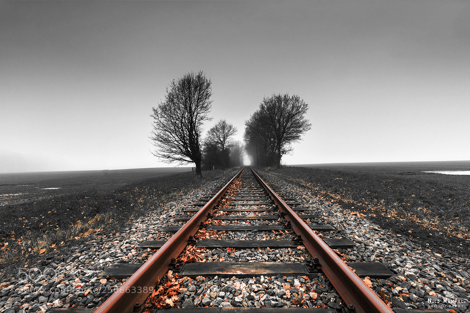 Canon EOS 77D (EOS 9000D / EOS 770D) sample photo. Rails into the fog photography