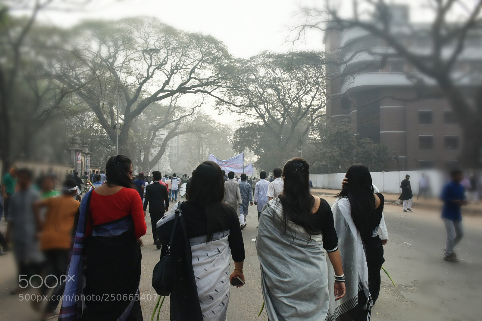 Nikon D7200 sample photo. Untitled photography