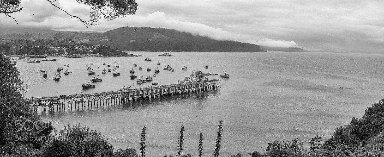 Olympus OM-D E-M5 II sample photo. Muelle de lota lota photography