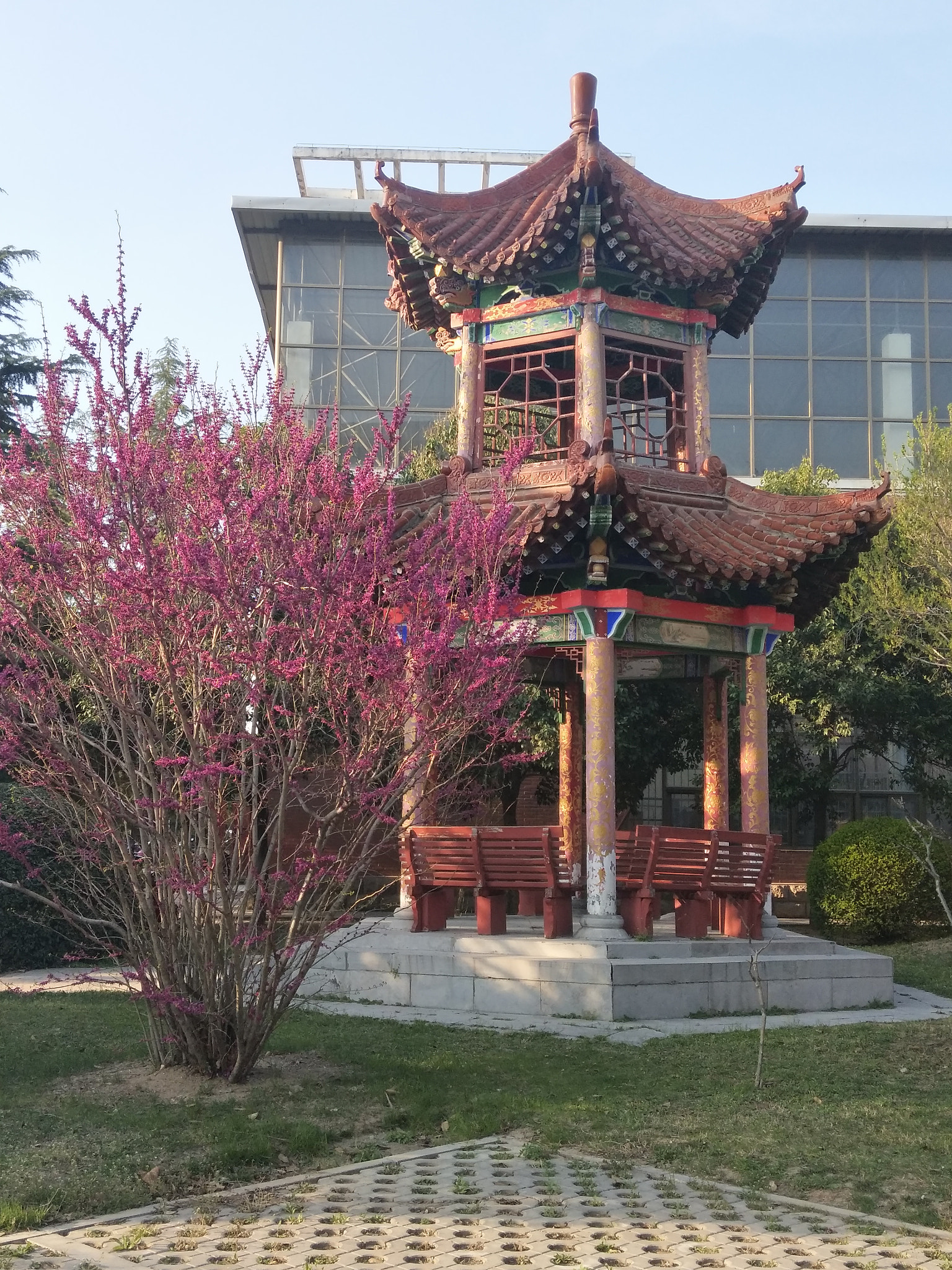 vivo X9S sample photo