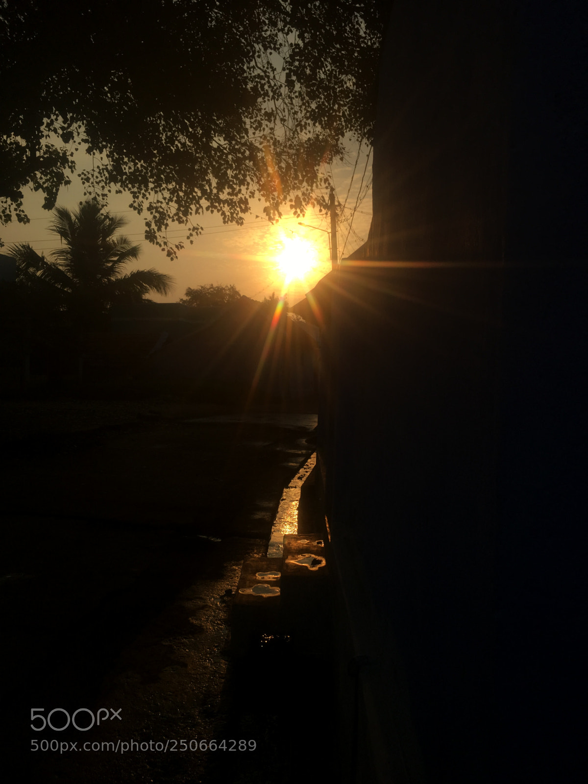 Apple iPhone SE sample photo. Untitled photography