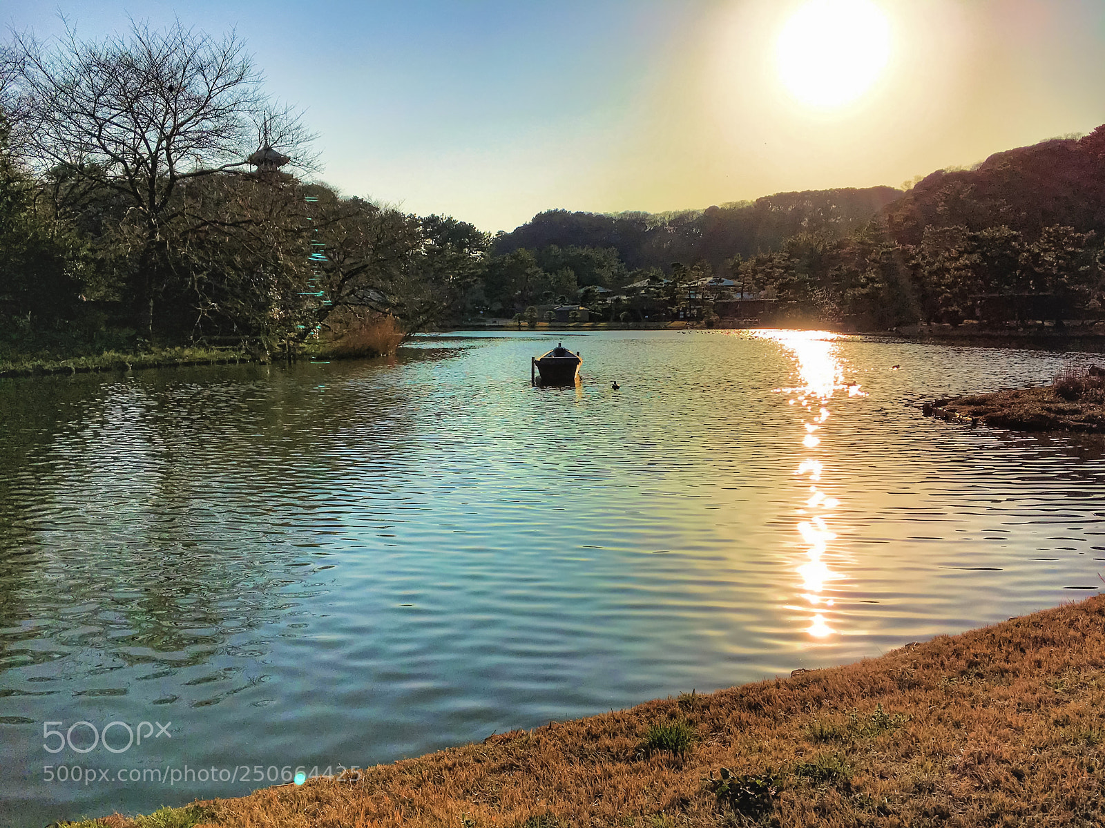 Apple iPhone 6s sample photo. One day afternoon... sankei-en 三渓園 photography