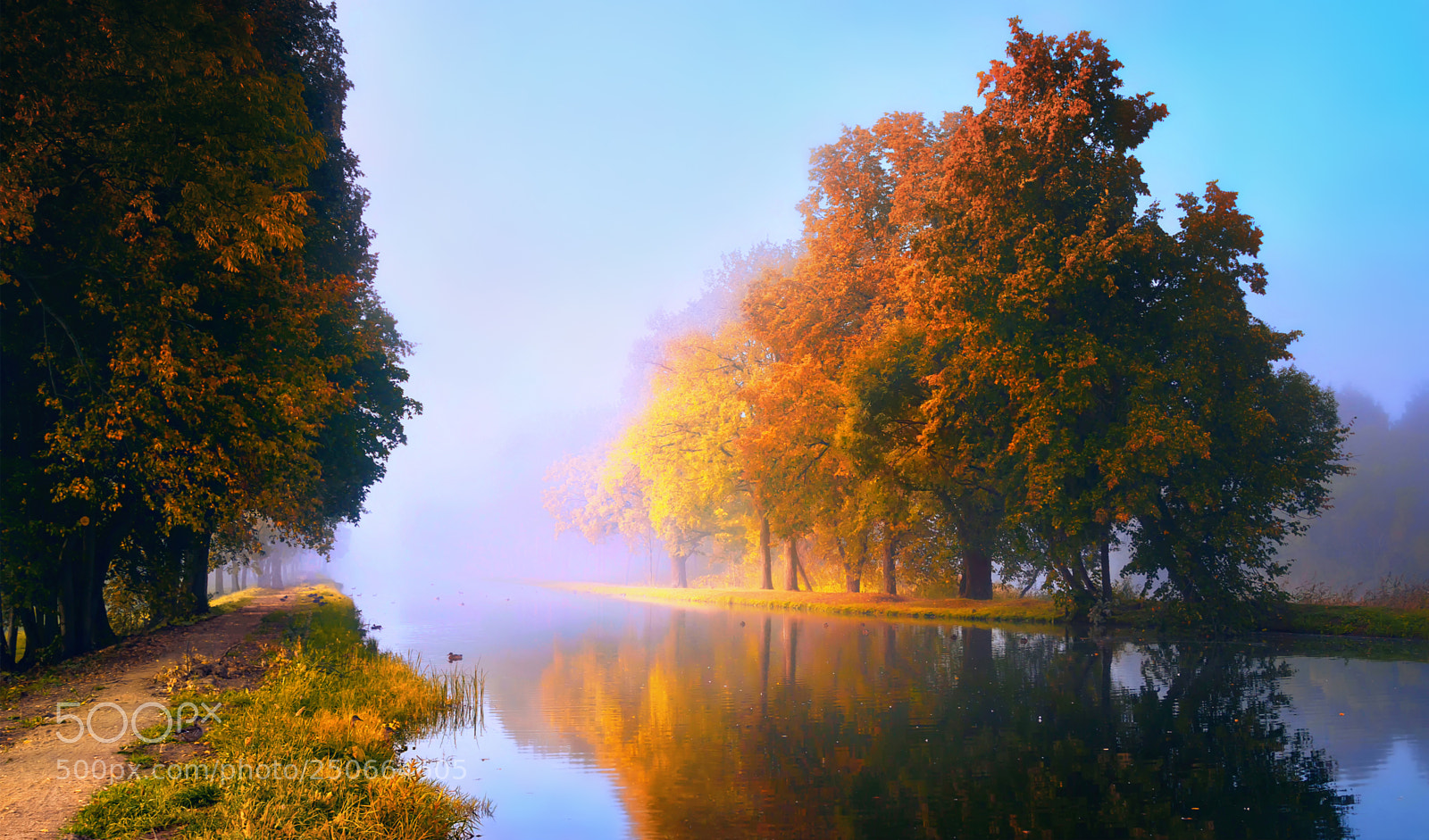 Canon EOS 50D sample photo. Forest, pond, river, sun photography