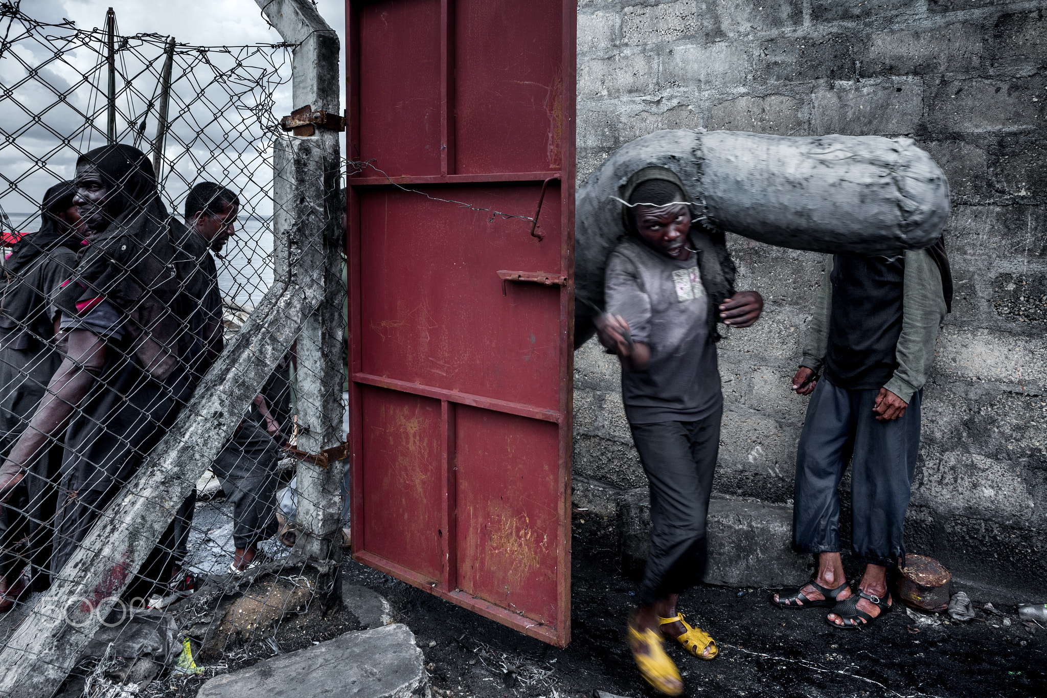 © Zoltan Papdi 2017-2770