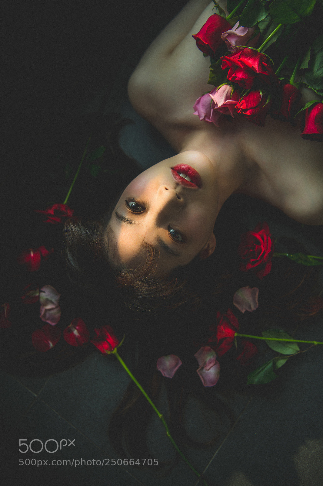 Nikon D850 sample photo. Ray & rose photography