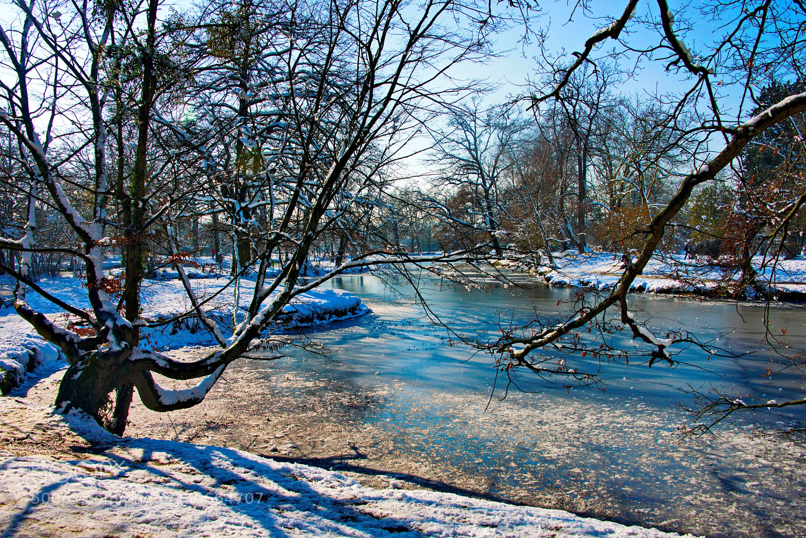 Nikon D800 sample photo. Frozen lake photography