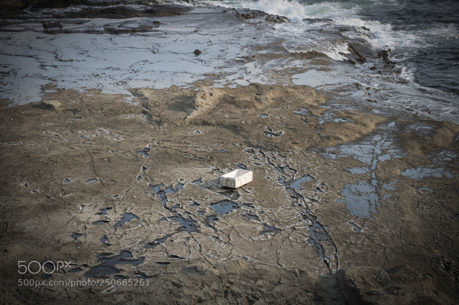 Canon EOS 760D (EOS Rebel T6s / EOS 8000D) sample photo. Eternal decomposition photography