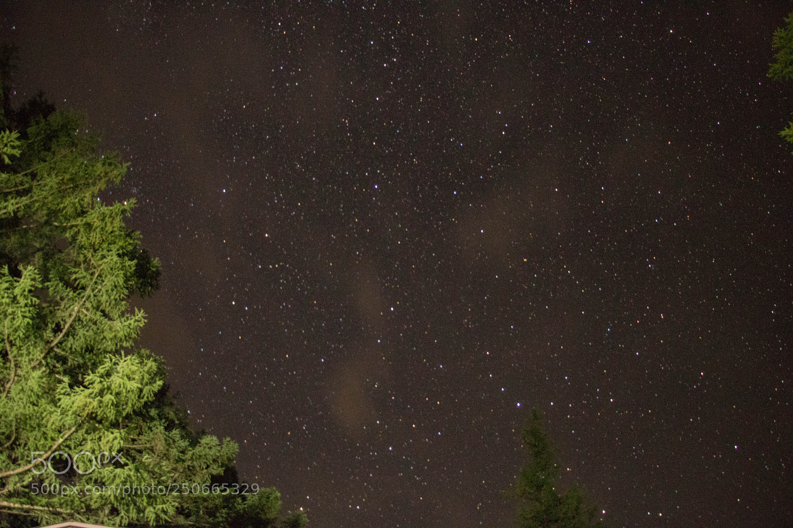 Canon EOS 760D (EOS Rebel T6s / EOS 8000D) sample photo. Starry night photography