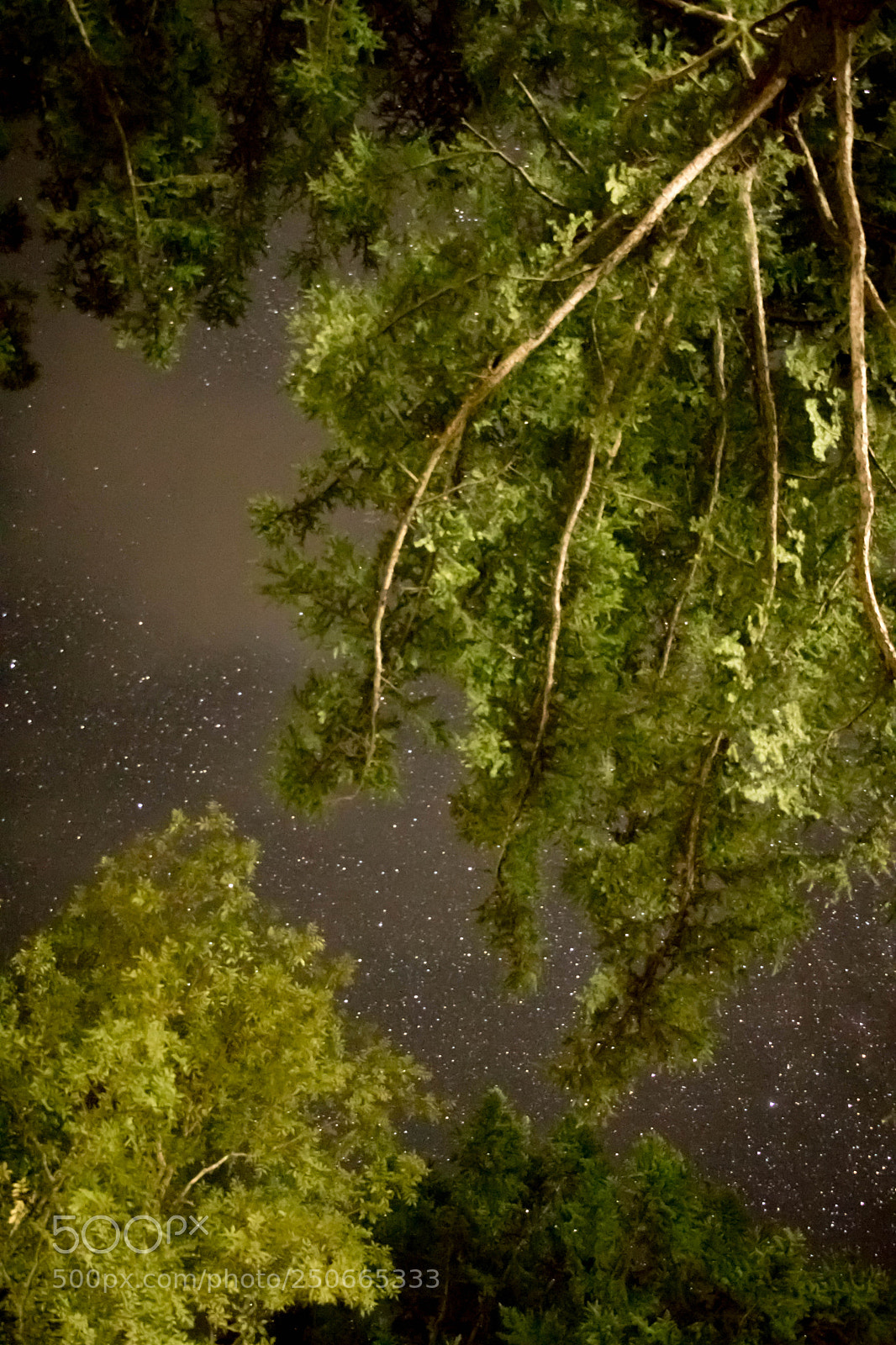 Canon EOS 760D (EOS Rebel T6s / EOS 8000D) sample photo. Starry night photography