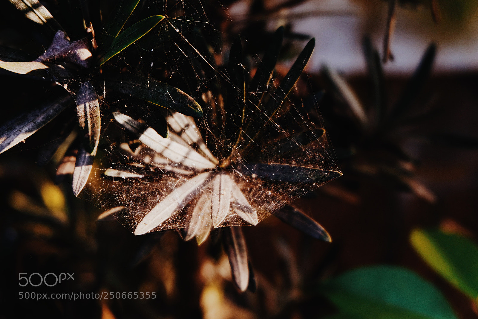 Fujifilm X-T1 sample photo. Untitled photography