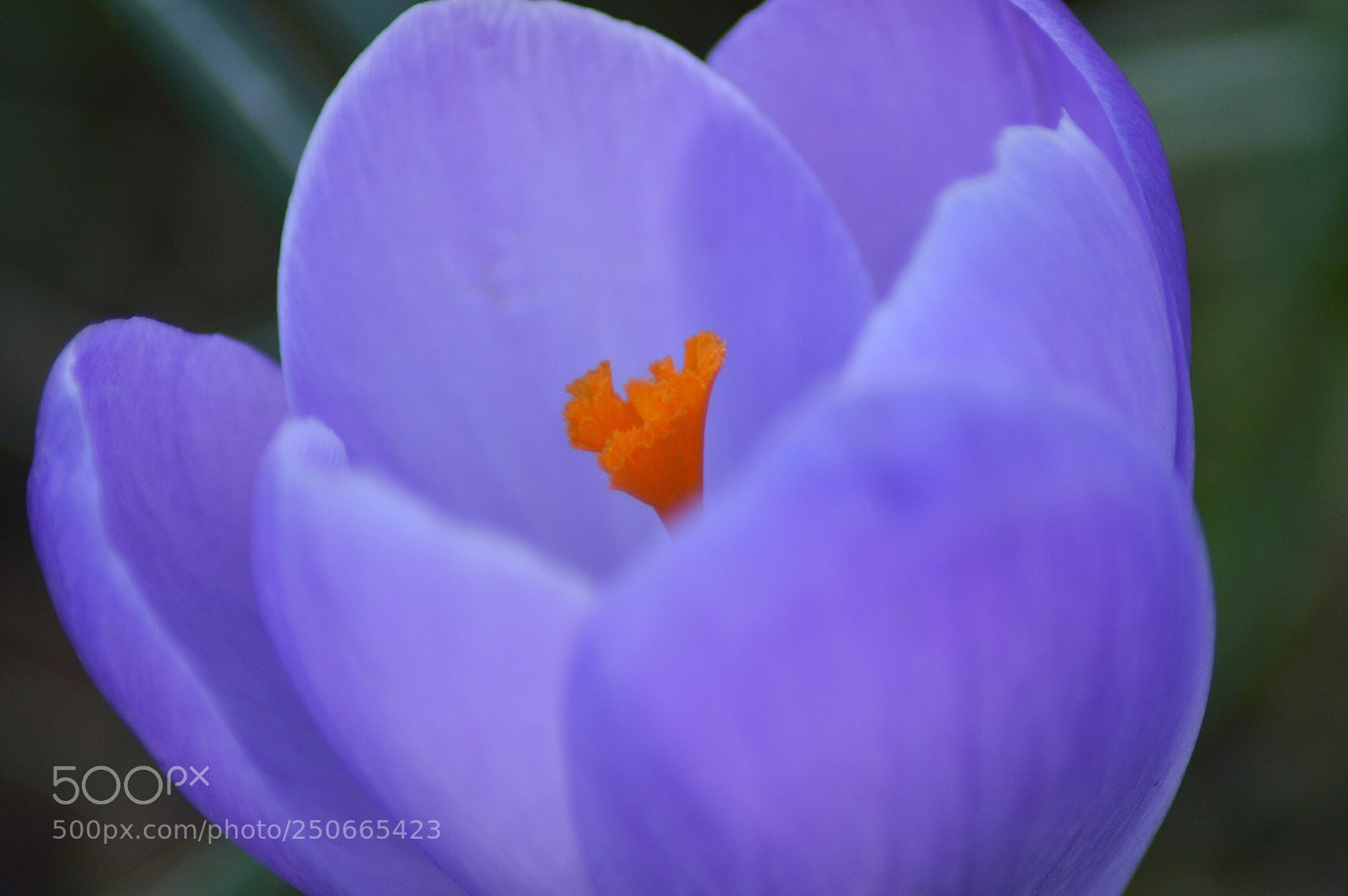 Nikon D3200 sample photo. Untitled photography
