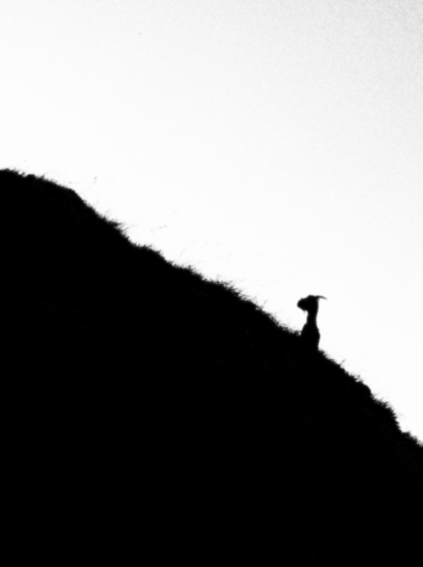 Olympus TG-3 sample photo. Nothingness photography