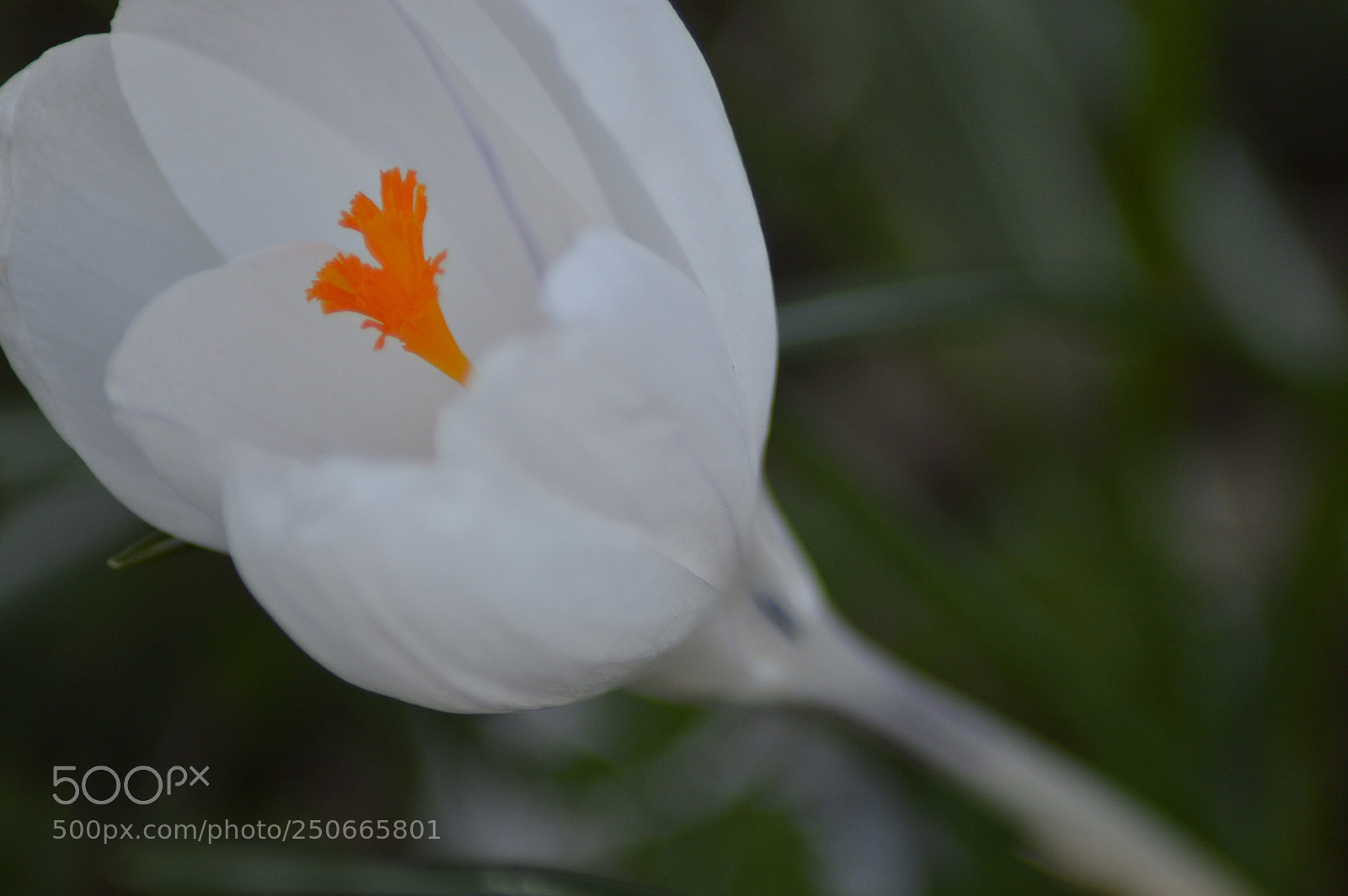 Nikon D3200 sample photo. Untitled photography