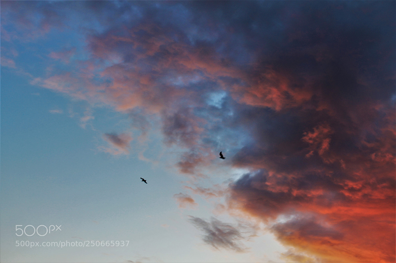 Canon EOS 1100D (EOS Rebel T3 / EOS Kiss X50) sample photo. Fire sky photography