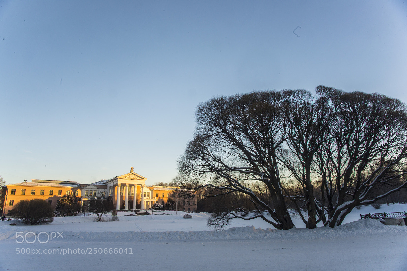 Nikon D610 sample photo. Winter morning photography
