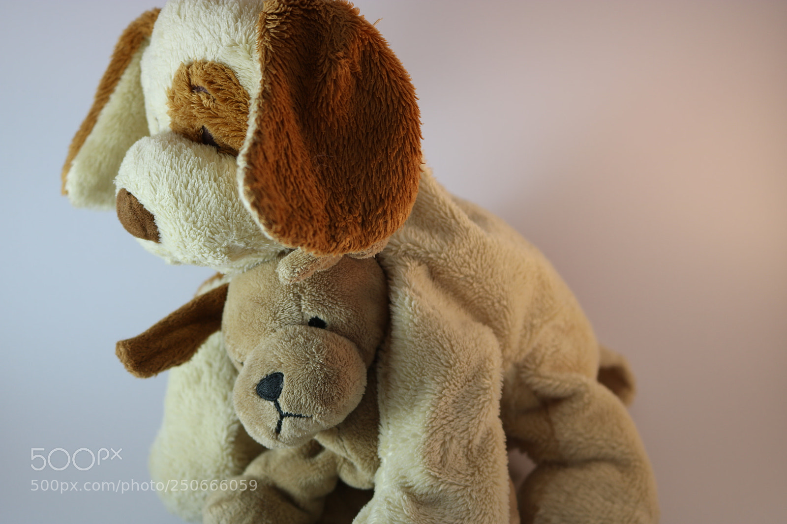Canon EOS 750D (EOS Rebel T6i / EOS Kiss X8i) sample photo. Untitled photography