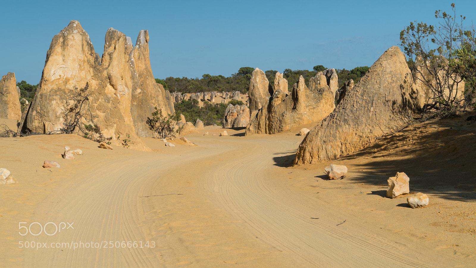 Sony a7R II sample photo. Nambung national park, western photography