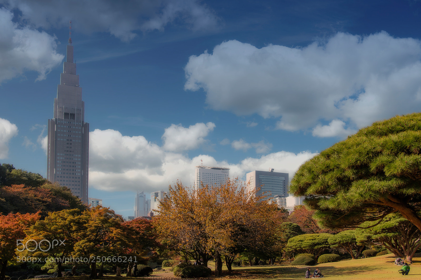Canon EOS 70D sample photo. Tokyo parco a ueno photography