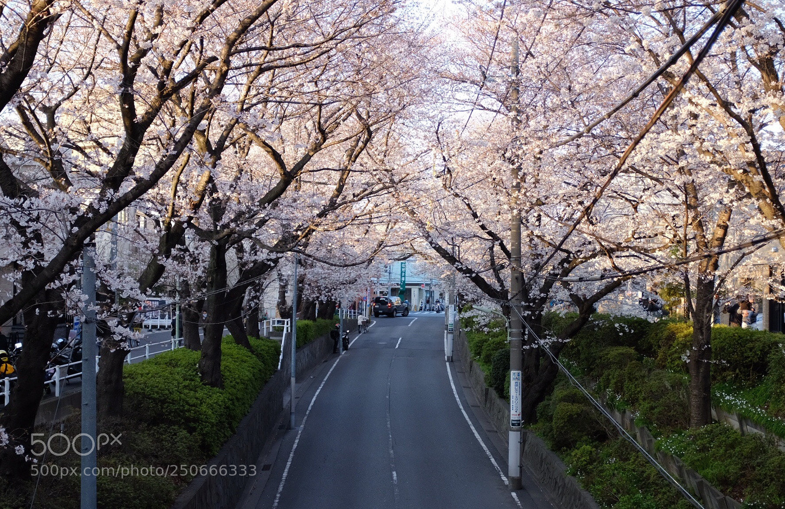 Fujifilm X100F sample photo. Untitled photography