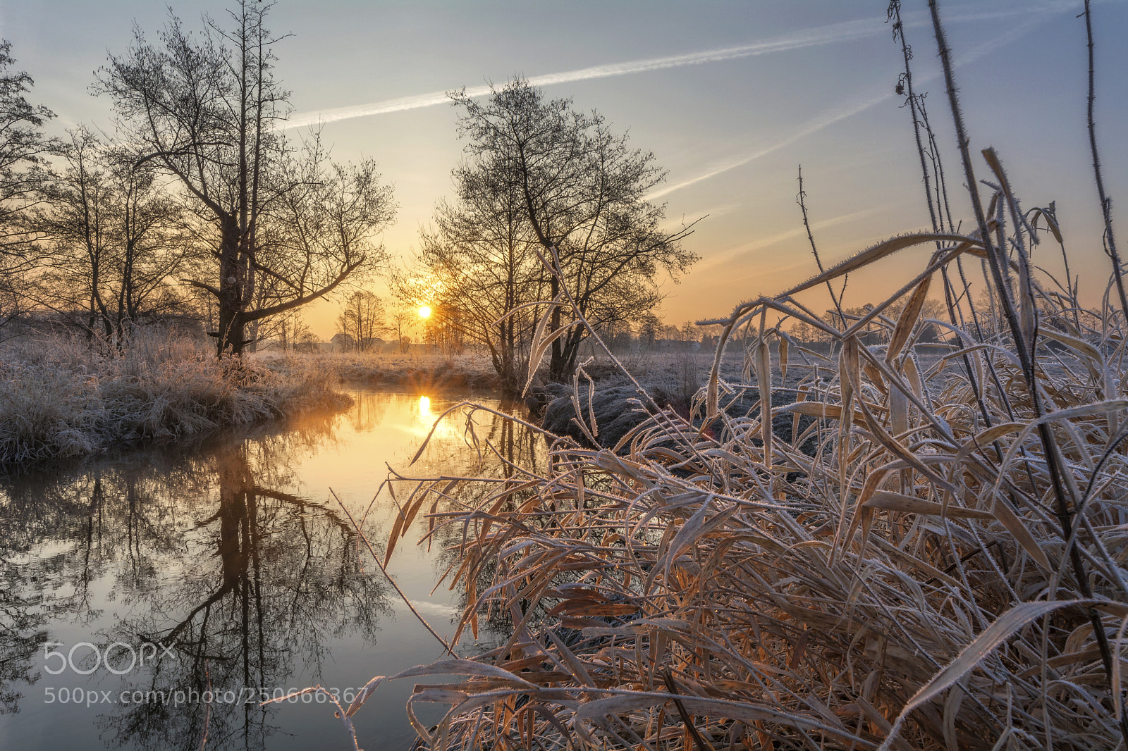 Nikon D5200 sample photo. Łupia river photography