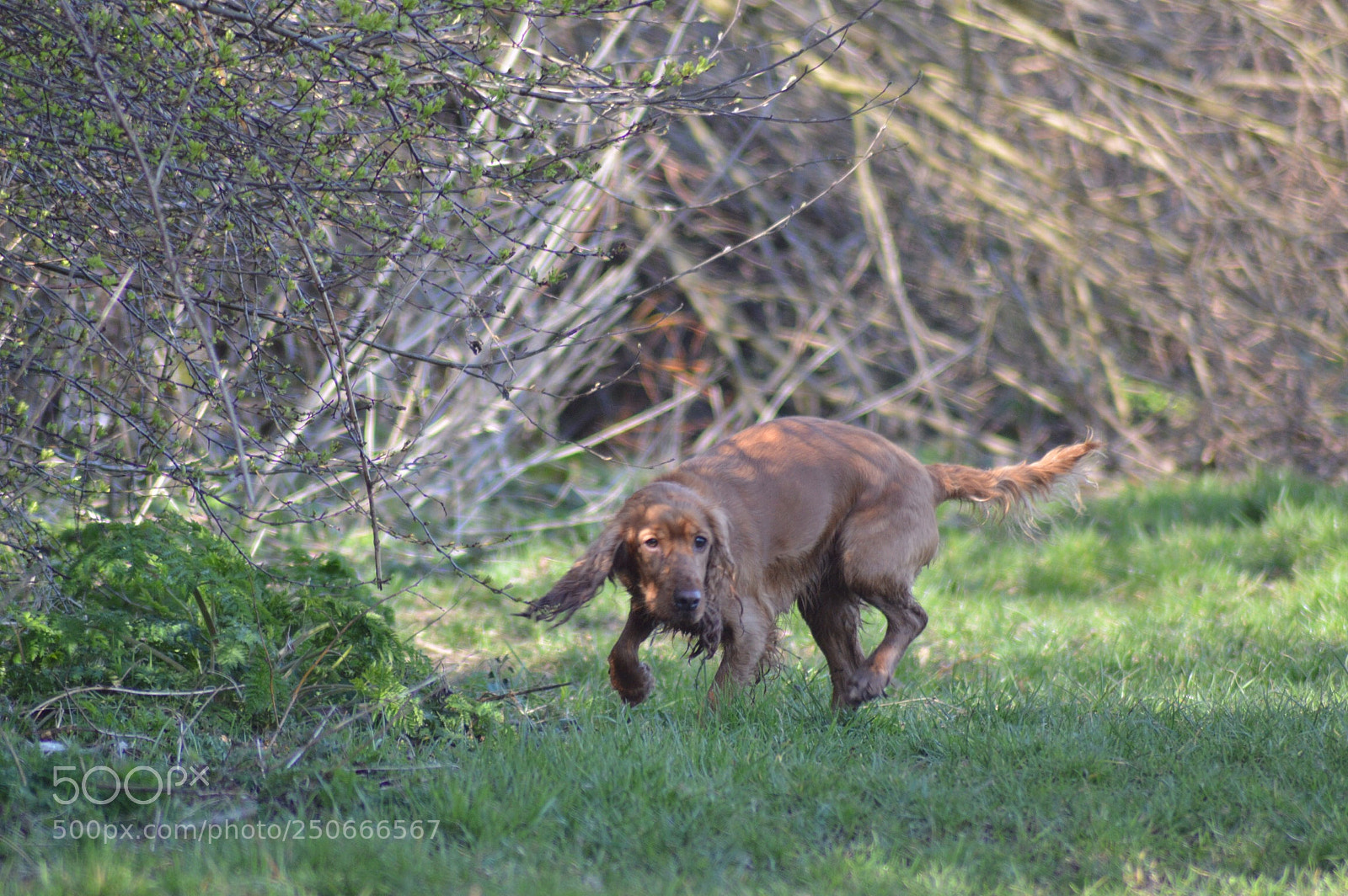 Nikon D3200 sample photo. Untitled photography