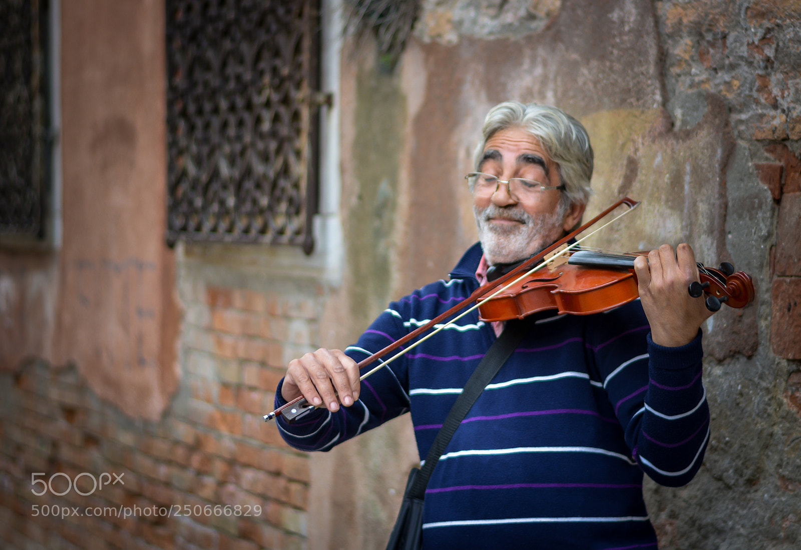 Nikon D5200 sample photo. Violina photography