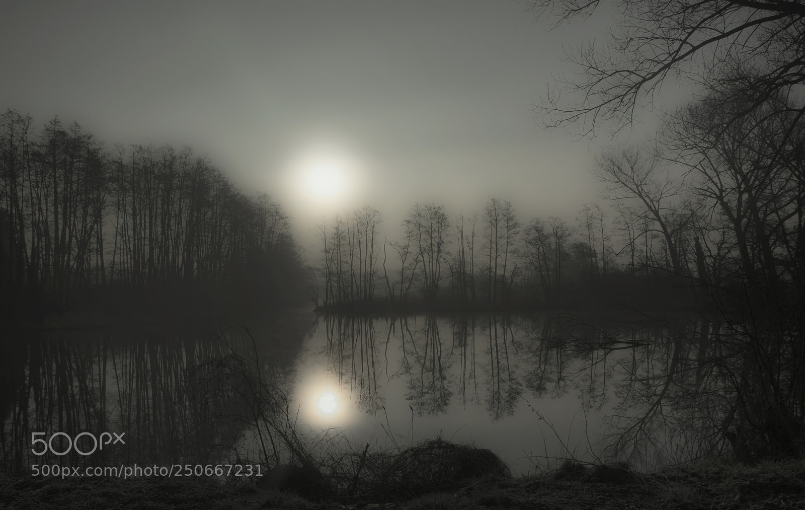 Nikon D7100 sample photo. Ghostly at 7 am photography