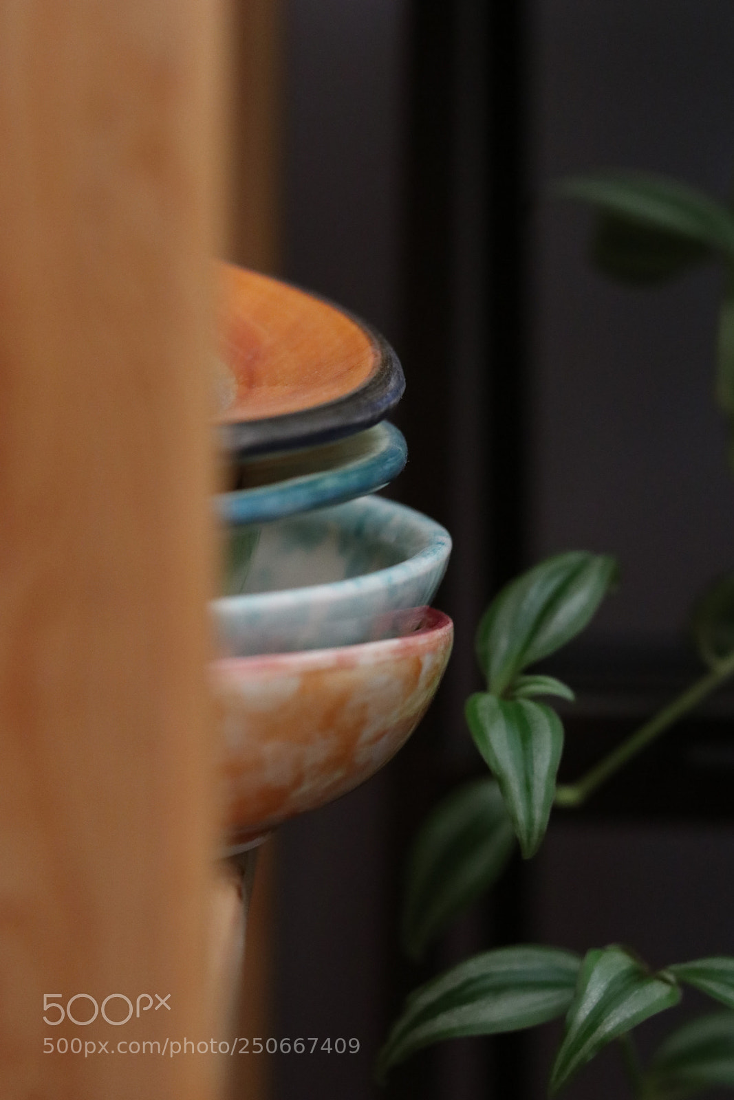 Canon EOS 80D sample photo. Future photography