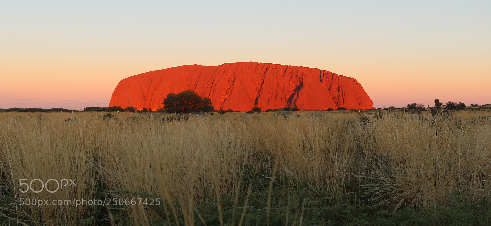 Canon EOS 80D sample photo. Uluru - 50 shades photography