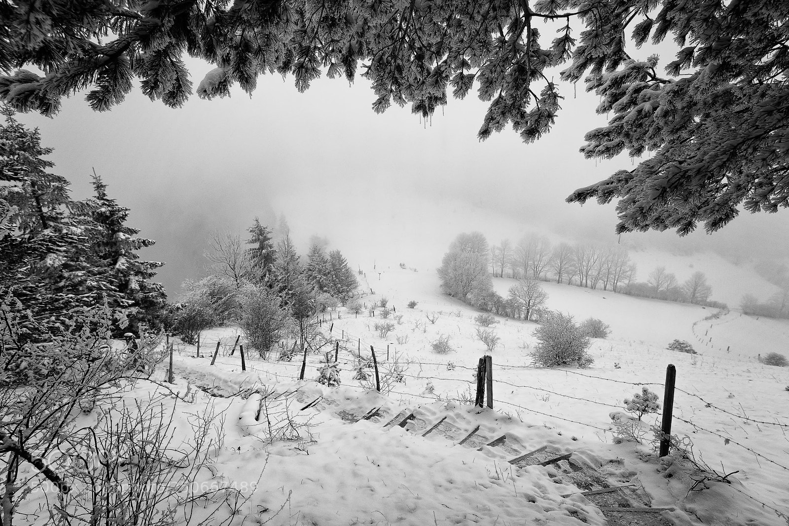 Sony SLT-A99V sample photo. Icy steps photography