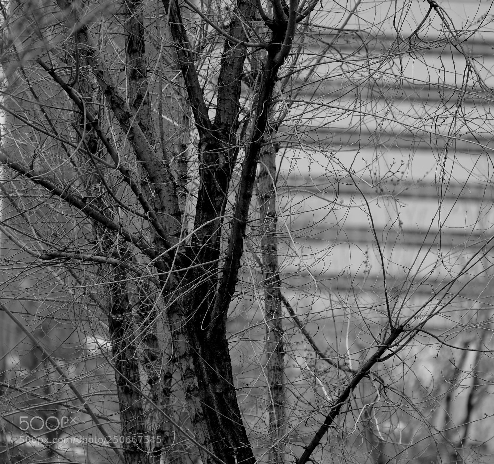 Fujifilm X-E1 sample photo. Dscf photography