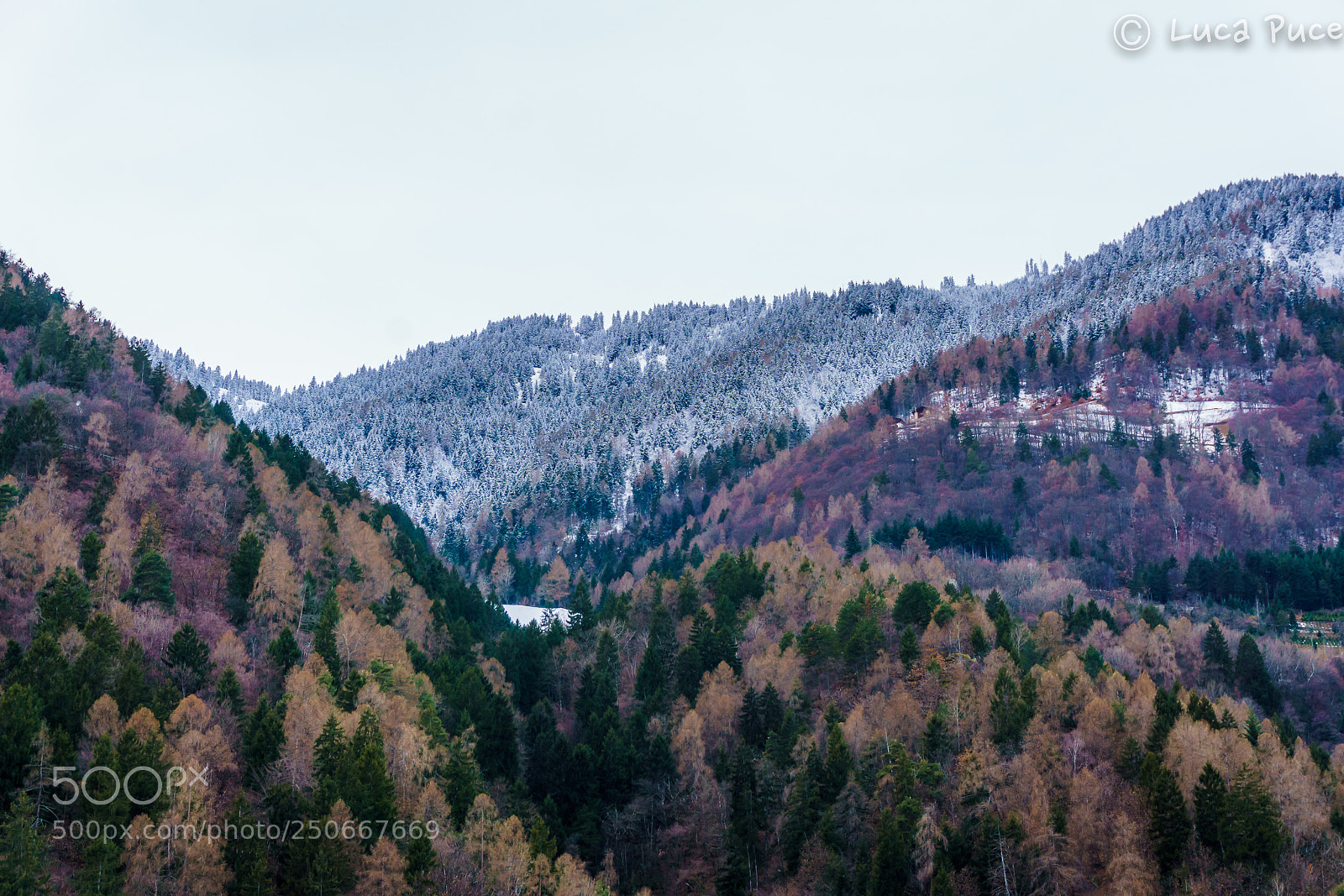 Sony a6000 sample photo. Winter photography