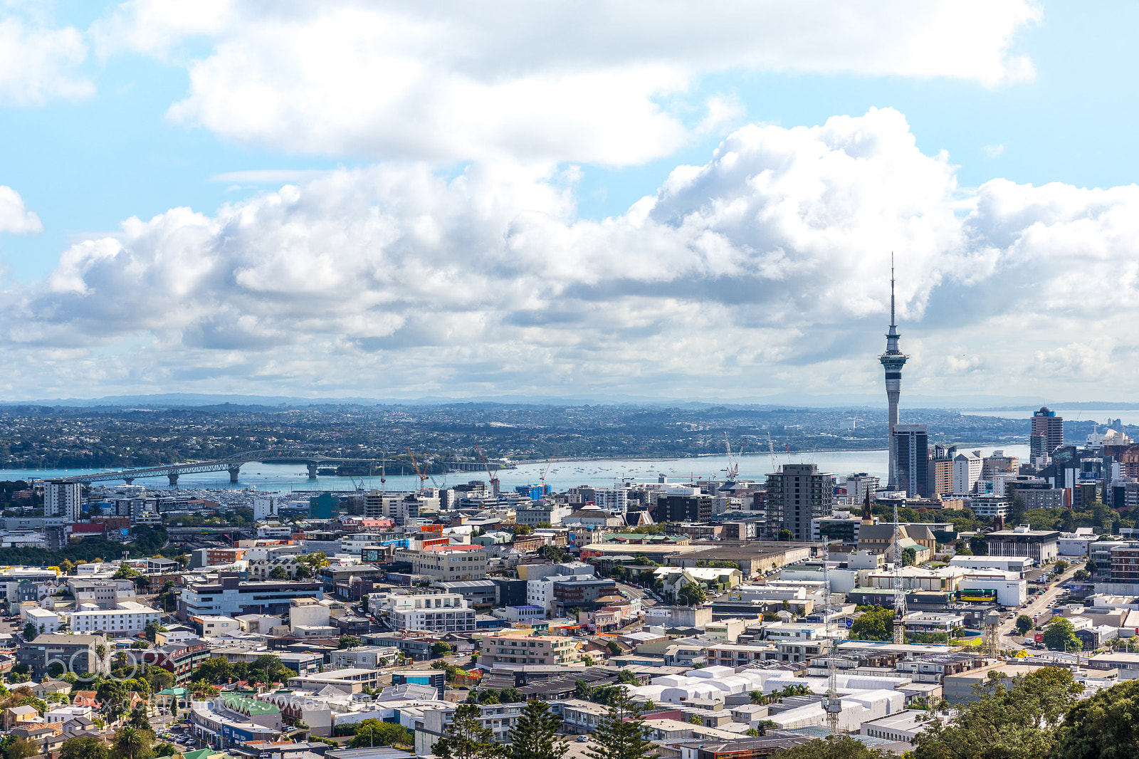Nikon D7200 sample photo. Hi auckland photography