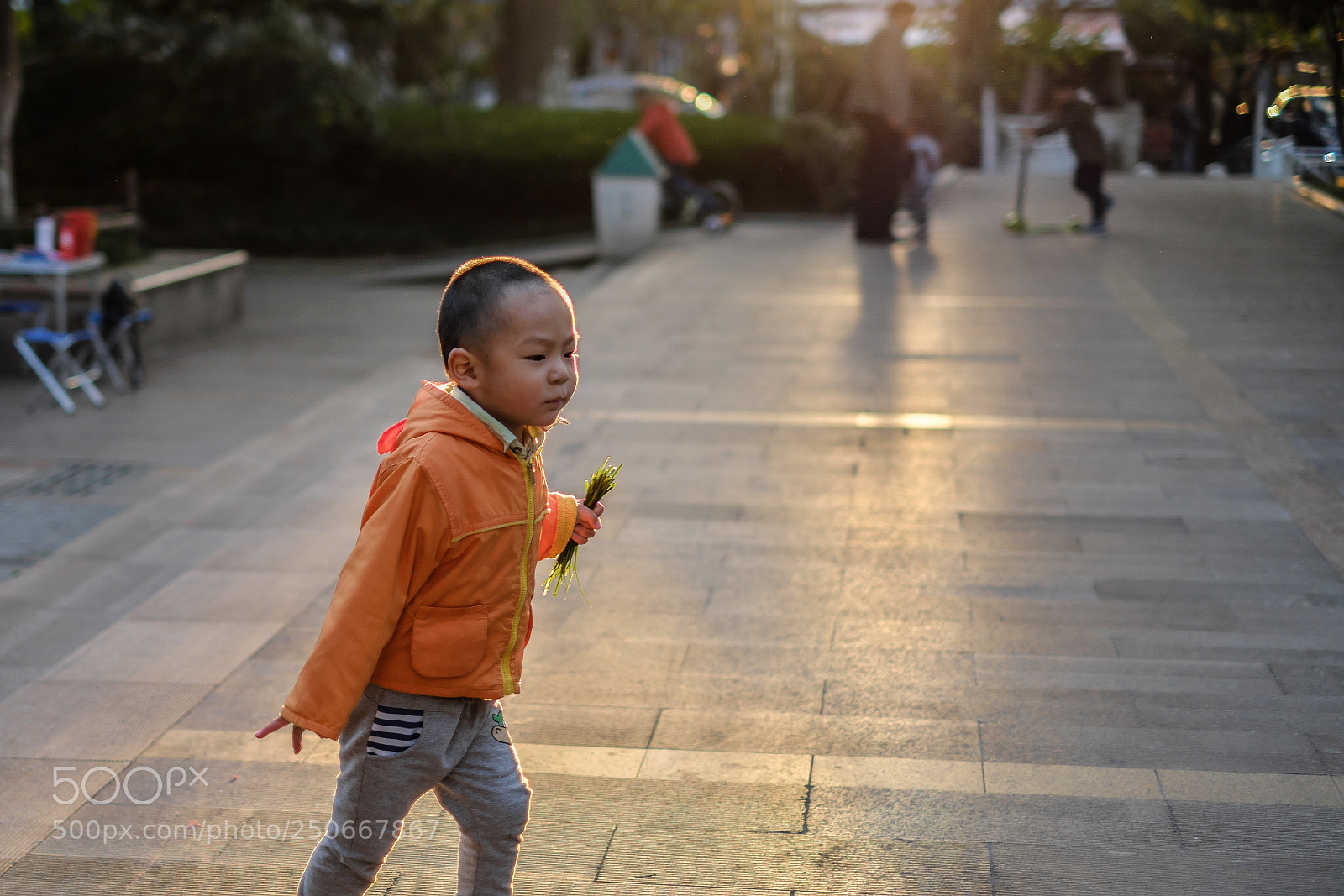 Fujifilm X-Pro2 sample photo. Golden boy photography