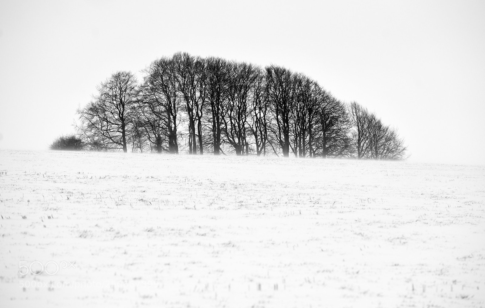 Nikon D4S sample photo. Snow on edington hill photography