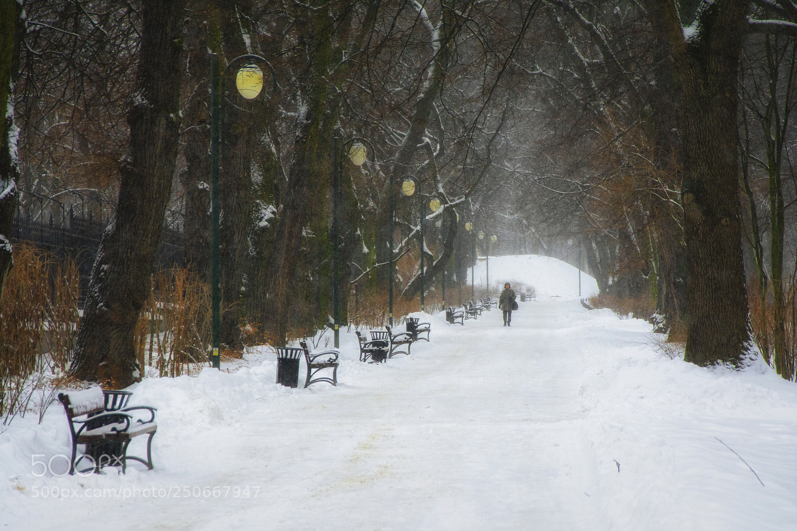 Nikon D7100 sample photo. First day of spring... photography