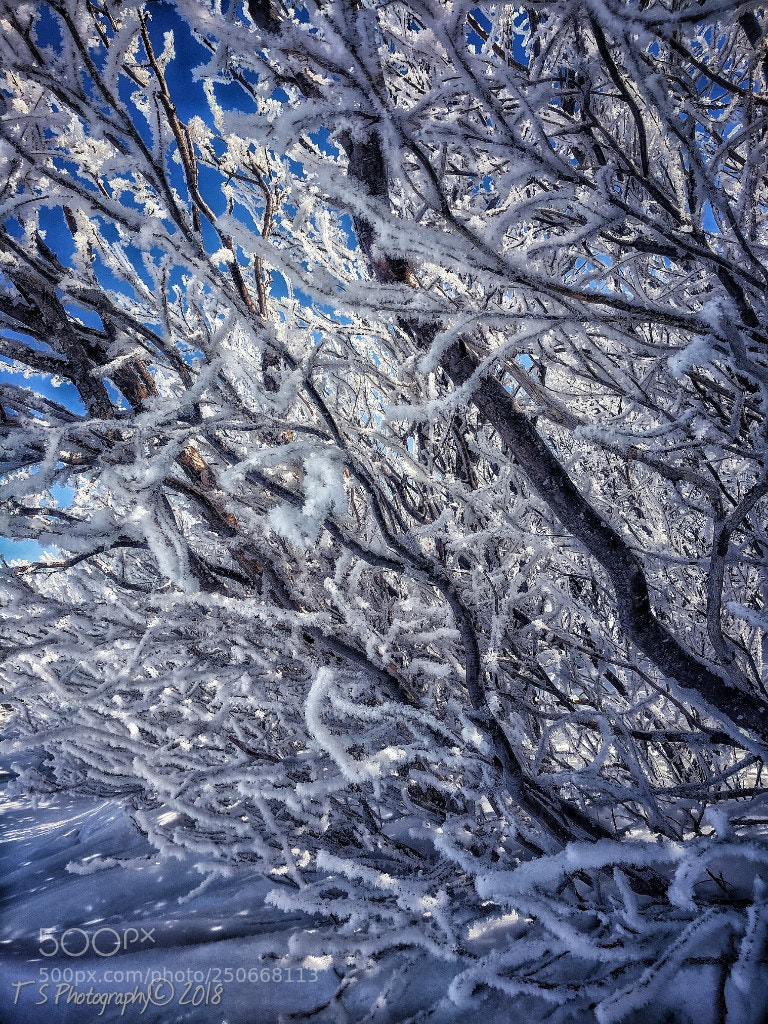 Google Pixel sample photo. Untitled photography