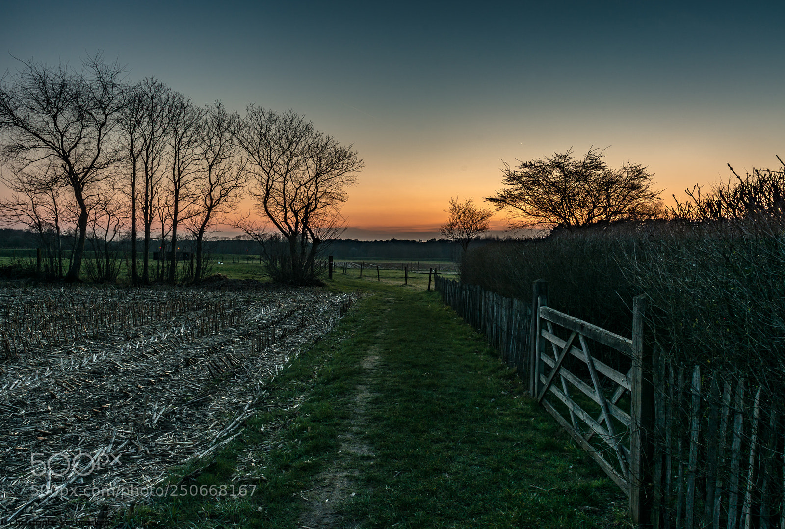 Nikon D7100 sample photo. Zeept keerbergen photography