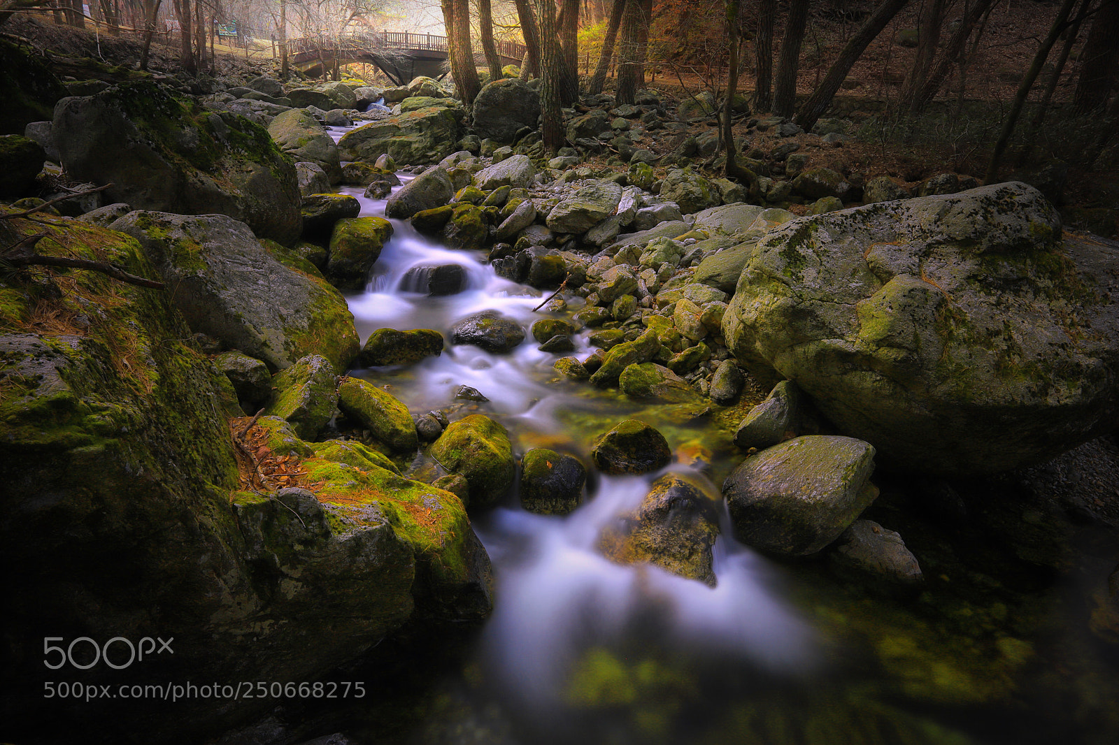 Canon EOS 6D Mark II sample photo. Valley of march photography